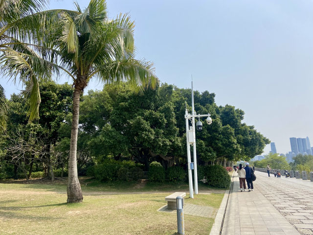 🧎沉浸在綠意與海濱風光中🌟深圳灣公園🌳