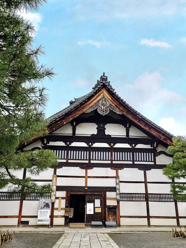 Spring Visit to Kenninji Temple – A Sakura Wonderland