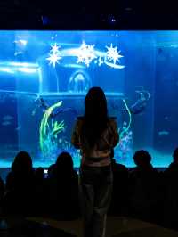 신비스러운 물속 데이트코스..🐠🐟💕