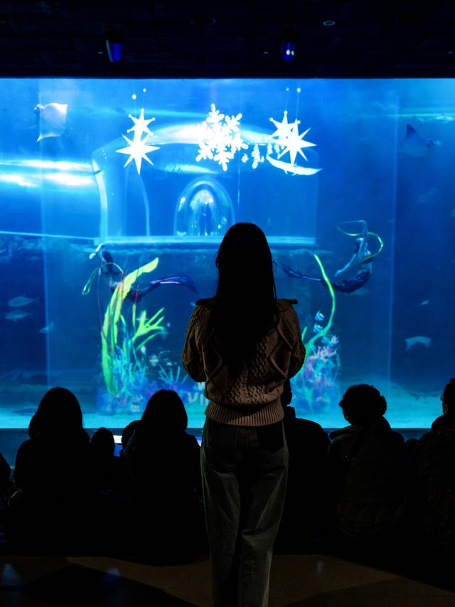 신비스러운 물속 데이트코스..🐠🐟💕