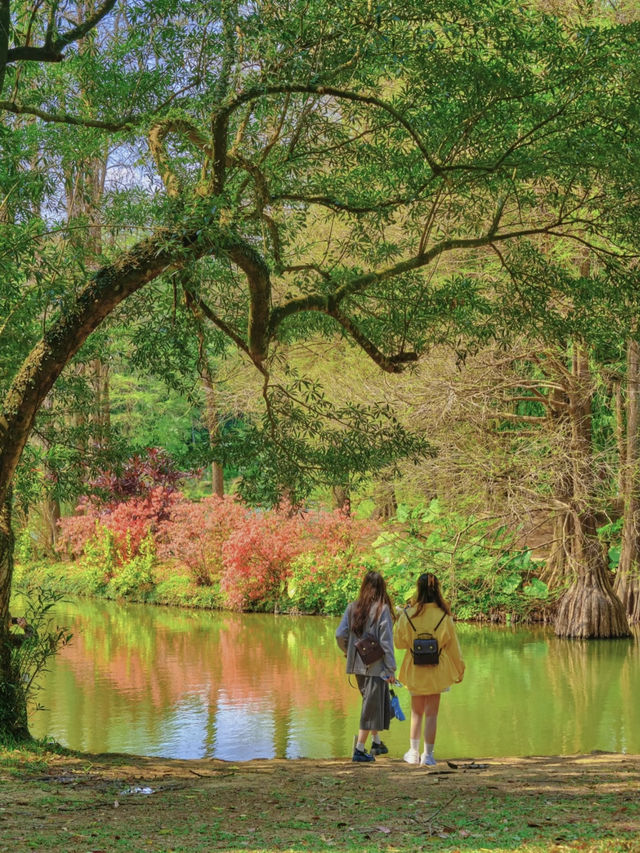 Guangzhou is filled with the essence of spring