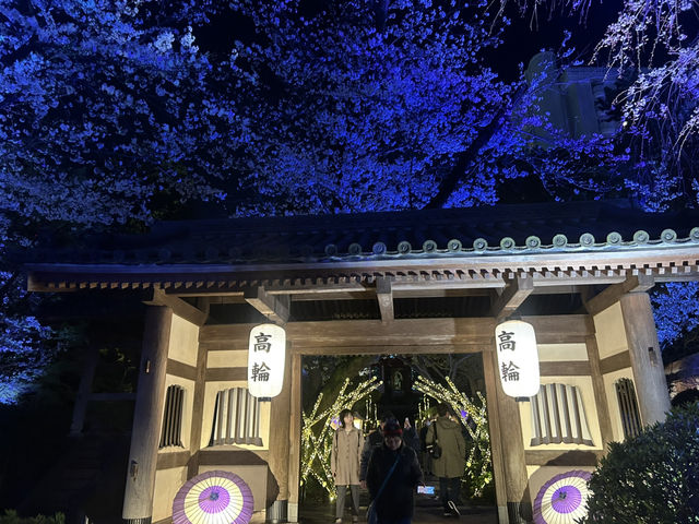 都会の隠れ桜スポット！品川プリンスホテル「桜タワー」で春気分満開