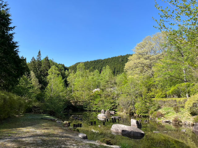 田立の滝群で梅の花をみよう！名瀑×季節の彩り！春の始まりを感じる絶景トレッキングへ🌸💧