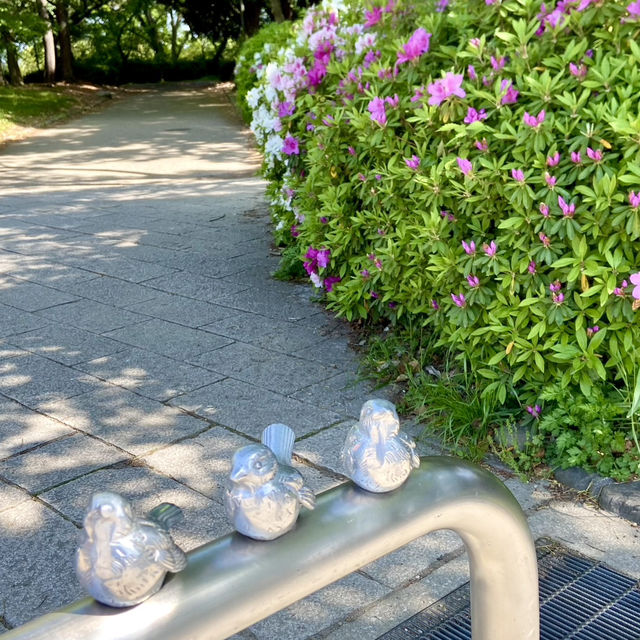 Spring Picnic Bliss at Osaka Castle Park