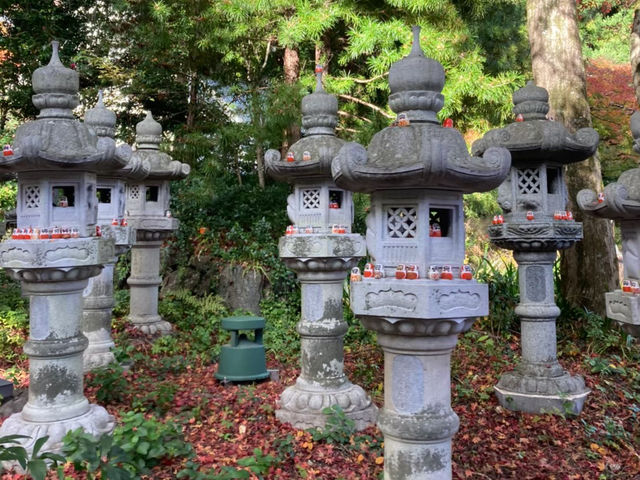 紅葉の名所！「勝尾寺」で真っ赤な秋を感じるお寺さんぽ🍁