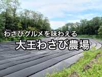 【長野】南アルプスの澄んだ水で育つわさびを見学・大王わさび農場