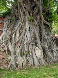 อุทยานประวัติศาสตร์พระนครศรีอยุธยา