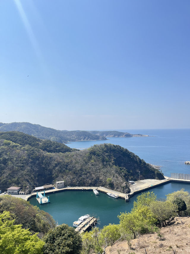 대마도 한국전망대(Kankoku Lookout) 리뷰