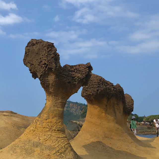 🌄 하루 날잡고 다녀오기 좋은 타이베이 근교 여행지