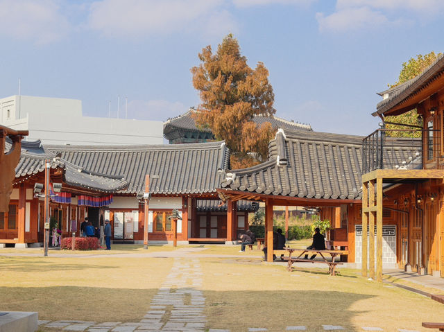🌿 수원에서 만나는 역사와 힙한 피크닉, 하루 만에 다 즐기기