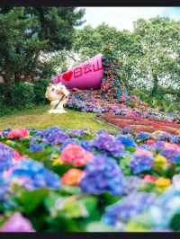 Baiyun Mountain– Guangzhou’s Green Lung