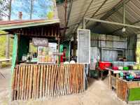 ผานาน้อย - จุดชมวิวเลียบหน้าผาภูกระดึง