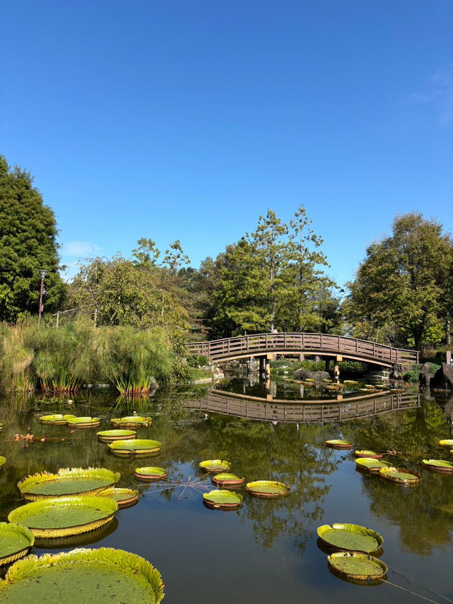 琵琶湖の魅力