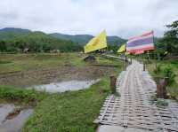 สะพานไม้ไผ่บ้านแพมบก (โขกู้โส่) 🌳