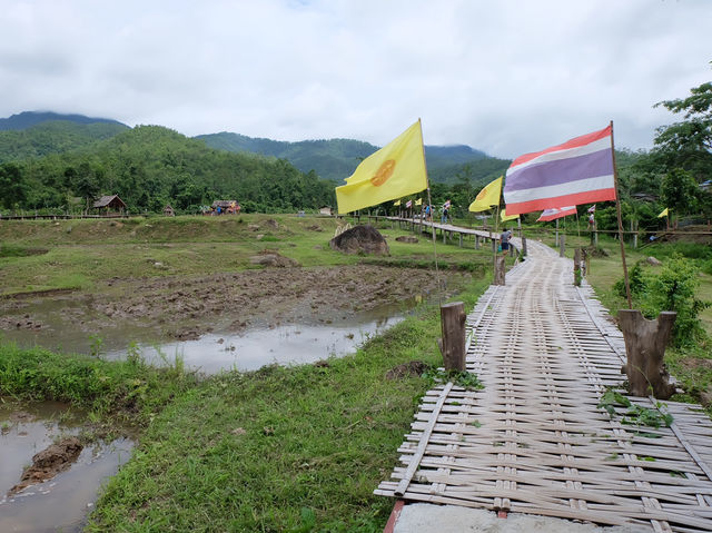 สะพานไม้ไผ่บ้านแพมบก (โขกู้โส่) 🌳