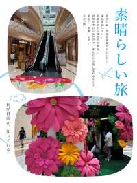 花海繽紛的春季節日