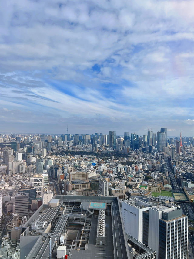 ชมวิวโตเกียวสวยๆ ที่ Shibuya Sky