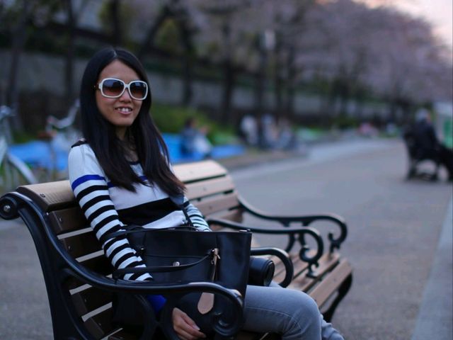 Cherry Blossom Dreams at Osaka Castle Park
