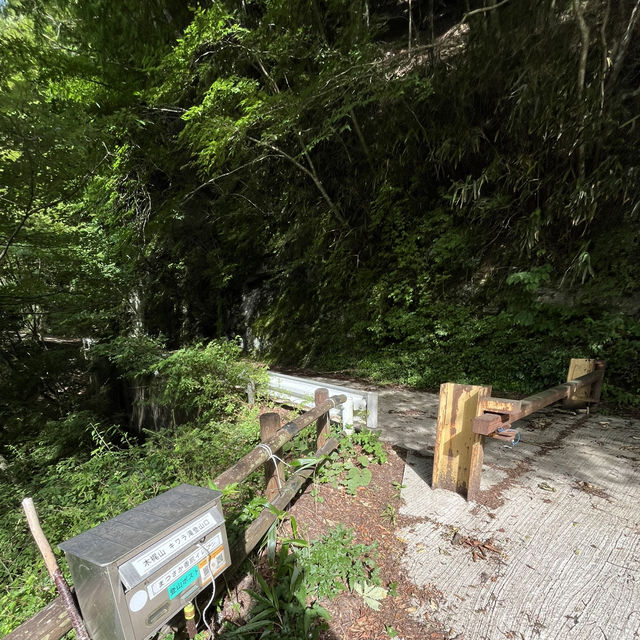 🌲【木梶山】⛰️ まつさかイレブン