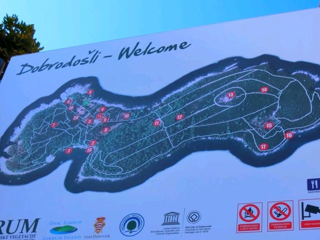 【ドブロブニク】フェリーで10分⛴️リゾート地・ロクルム島