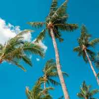 Holiday Inn Resort Samui Bophut Beach 