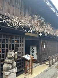 【飛騨高山⛰️町歩き】古い町並みを散策🚶‍♀️‍➡️高山ラーメンを食べよう