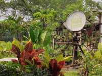 Exploring Bentong Ginger Farm: Pahang’s Spicy Agri-Tourism Gem