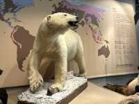 ชวนเที่ยว Shanghai natural history museum