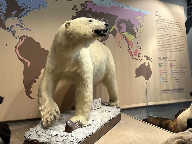 ชวนเที่ยว Shanghai natural history museum