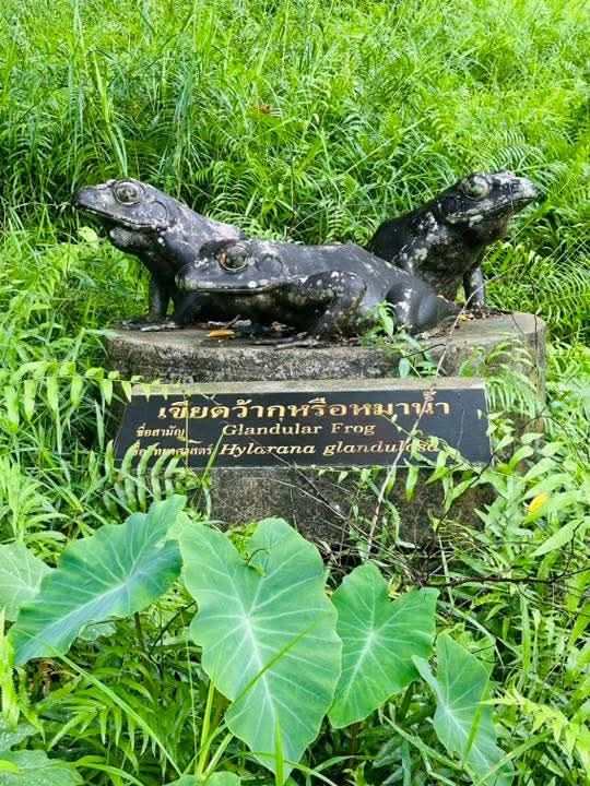 อุทยานแห่งชาติทะเลบัน