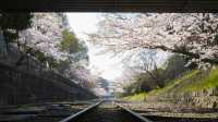 🚂🌸 Keage Incline: Kyoto’s Most Instagram-Worthy Abandoned Railway! 🌸🚂