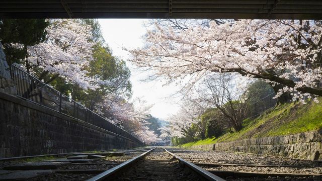 🚂🌸 Keage Incline: Kyoto’s Most Instagram-Worthy Abandoned Railway! 🌸🚂