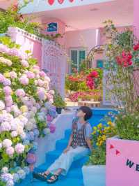 부산 영도 태종대 수국 명소 “분홍집”💕