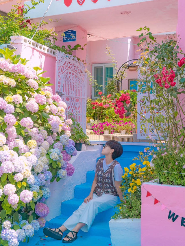 부산 영도 태종대 수국 명소 “분홍집”💕