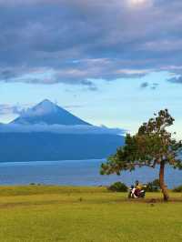 Discovering the Beauty of Mausui Savanna, Flores
