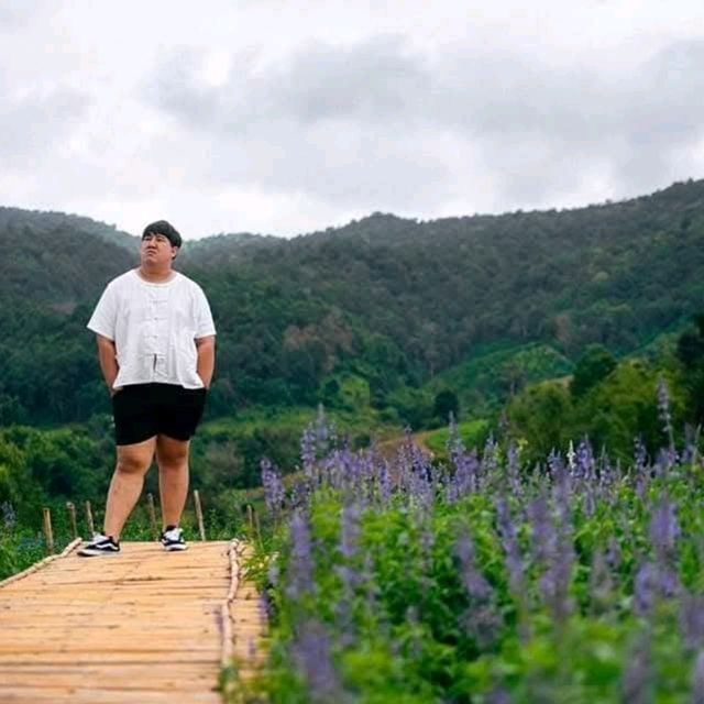 สวนดอกไม้ ป้างฮวา 🌺 l เชียงใหม่