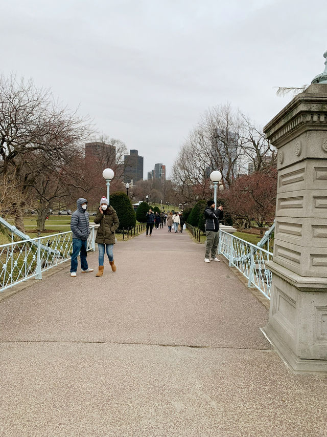 พักผ่อน ชมธรรมชาติ Boston common