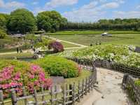 岡山後樂園