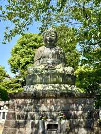 A Peaceful Spring Day at Gokokuji Temple