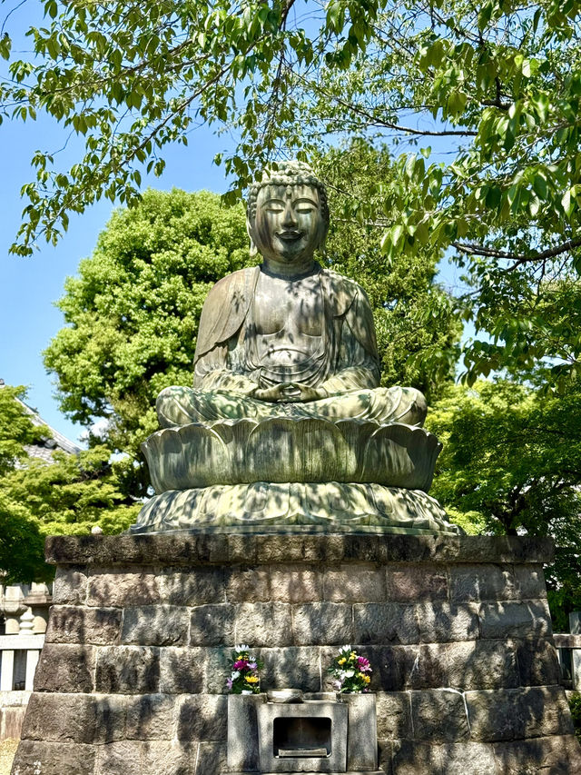 A Peaceful Spring Day at Gokokuji Temple