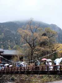 เที่ยว Kamikochi 🌧️ วันฝนตก 