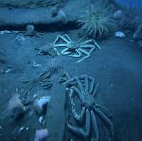 海と水槽が一体化？！温泉地から近い、城崎マリンワールド