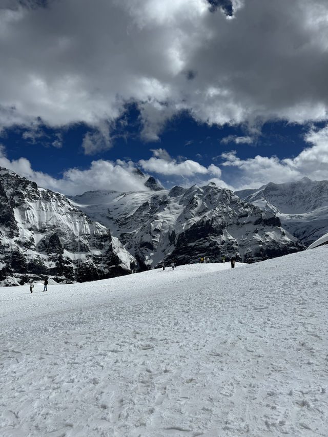 Best of Swiss Alps 🇨🇭