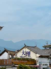 🇨🇳운남성 대리여행 여유로운 얼하이 호수에서 힐링하기🧜‍♀️