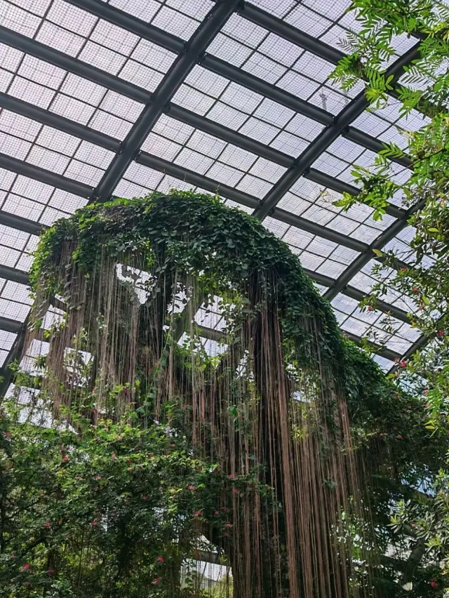 แผนการเดินทาง 2 วัน 1 คืนที่บาตูเฟอร์ริงฮี: ธรรมชาติและชายหาด