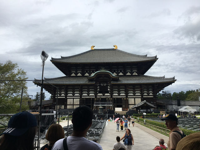 🦌 奈良公園｜與梅花鹿共遊的千年古都散策 