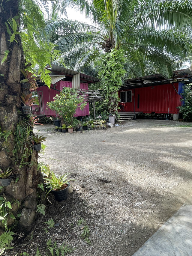 บ้านสวนตาแจ้
