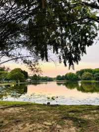 “Wind Chime Island: A Serene Escape”