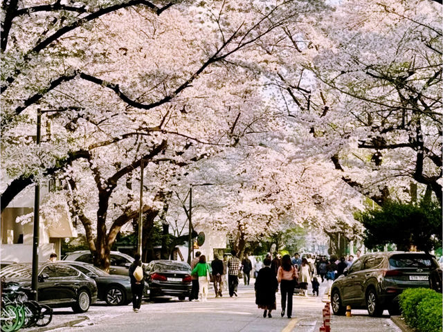 韓國🇰🇷漢江公園