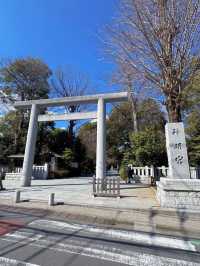 【東京】ここ行ったらやるべき3つのこと🌸桜の神結びで運気アップ